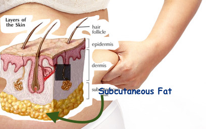 The Subcutaneous Fat is a fact of our marine living experience!