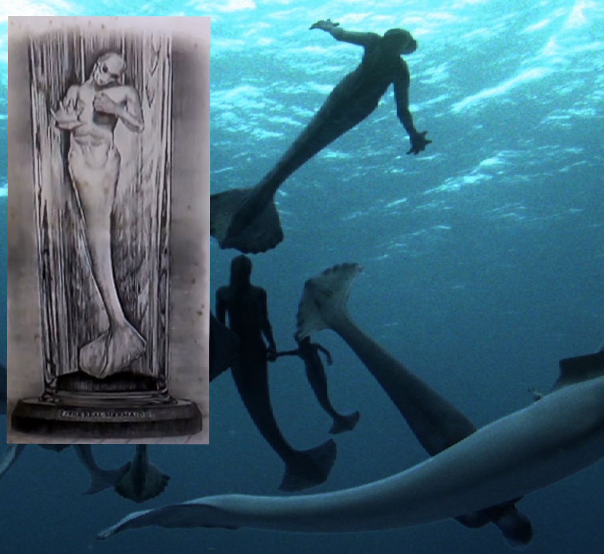 The real mermaid picture on the animation background.